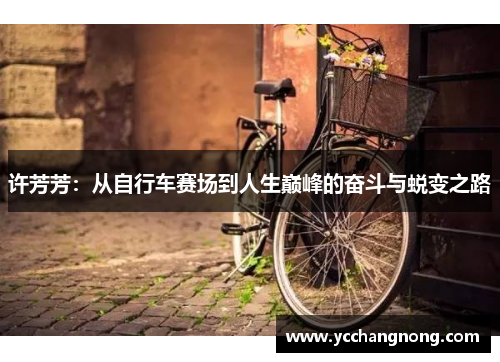 许芳芳：从自行车赛场到人生巅峰的奋斗与蜕变之路