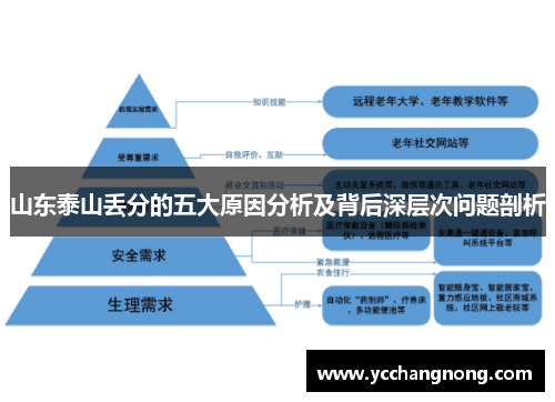 山东泰山丢分的五大原因分析及背后深层次问题剖析