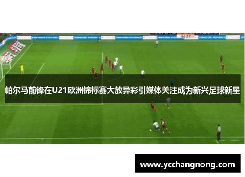 帕尔马前锋在U21欧洲锦标赛大放异彩引媒体关注成为新兴足球新星 帕尔马前锋在U21欧洲锦标赛大放异彩引媒体关注成为新兴足球新星