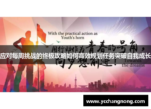 应对每周挑战的终极攻略如何高效规划任务突破自我成长 应对每周挑战的终极攻略如何高效规划任务突破自我成长